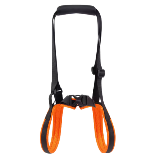 Arnés de Apoyo Senior