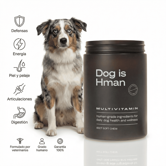 DM-01™ Potente apoyo Multivitamínico para alivio de comezón, lamido de patas y piel saludable